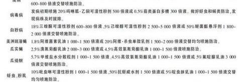桂林地區黑皮冬瓜春季高產栽培與管理技術