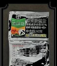 葉黃、病斑、莖腐，蘭花常見易患的真菌性病害可以自我診治