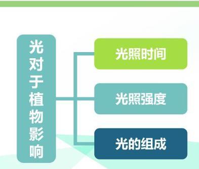 花店老闆關於澆水、土壤、光照的經驗分享，幫你的植物生長的更好