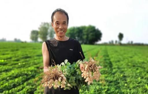 莊稼一枝花全靠肥當家，作物氮肥的7大作用4大種類，不知道別亂用