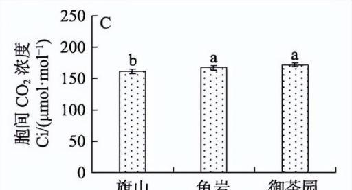 羊糞和蘑菇泥基質栽培，對陽光玫瑰葡萄的生長及品質有哪些影響？