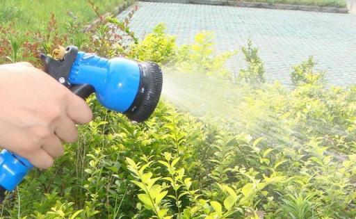 什麼時候給植物澆水好，澆水要注意什麼？