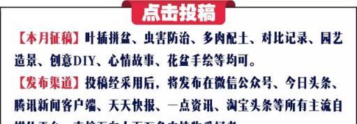 多肉葉插的養護方法大全，總有一種難題你遇到過！