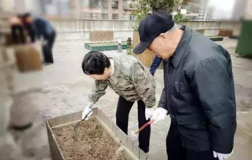 養花的老年人更長壽，最適合老年人養的8種花，你喜歡哪個？