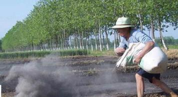 澆花加點草木灰，比施肥還靈，植株粗壯不生蟲，猛開花剎不住閘