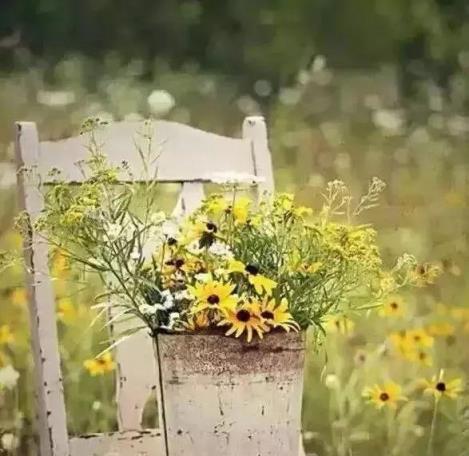 私家花園，花卉養護小妙招