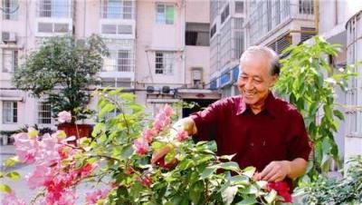 家裡這「3種花」，別輕易送人！「鎮宅」又養人，有錢人早知道了