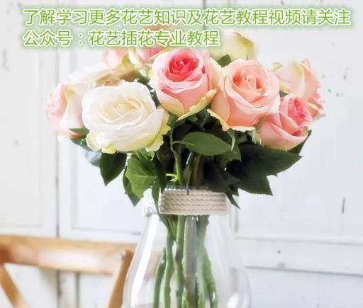 紫羅蘭,玫瑰,花毛茛,洋桔梗,雛菊插瓶小技巧!