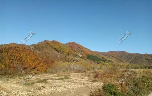 河北農村130萬建中式三合院，火炕、小院、菜園樣樣全，羨慕哭了