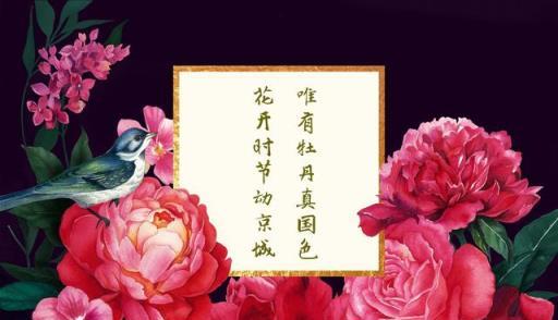 哪種花開正逢時？花的象徵與時代記憶