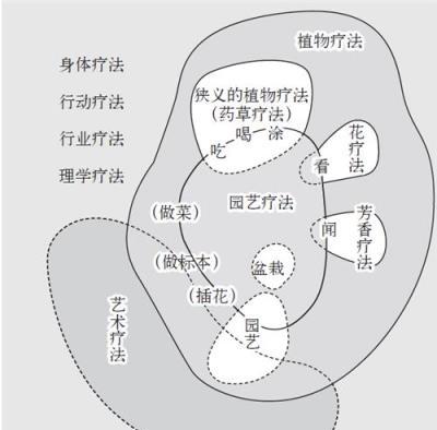 栽花也能治病？園藝療法就是這麼神奇