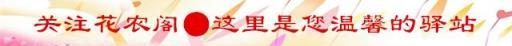 5種高顏值的月季，可是月季中的「貴族」，養護簡單花朵漂亮