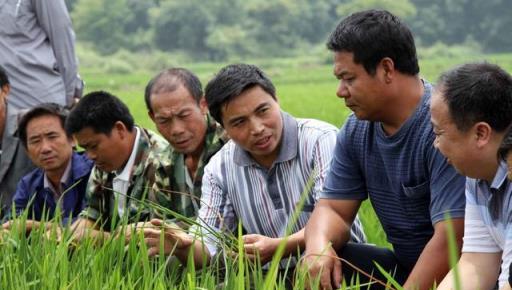 枯草芽孢桿菌用的好，在改良土壤、防治病害、作物增產是個寶