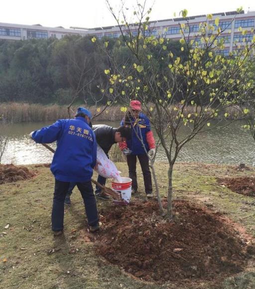 秋冬季要格外疼愛那些園林植物