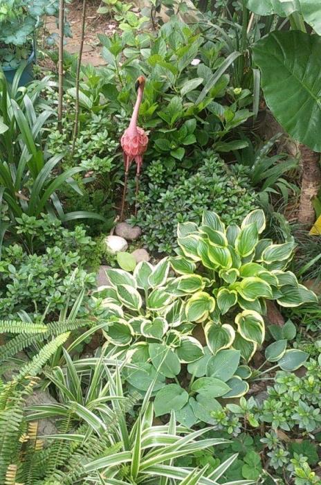 她將荒蕪的後院，改造成最美花園，完工一年後，讓人驚豔