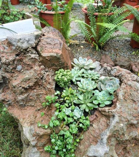 她將荒蕪的後院，改造成最美花園，完工一年後，讓人驚豔