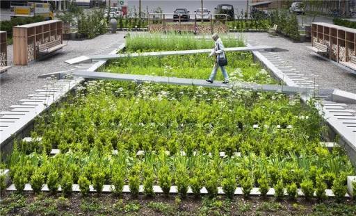 園藝療法：讓植物成為你的「醫生」