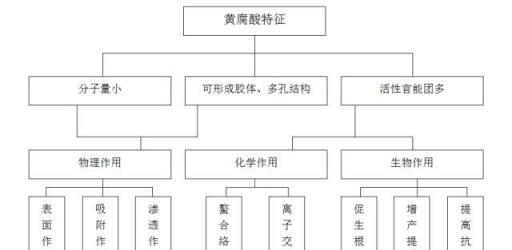 作物長得壯不壯，先看根系好不好！一起了解下根系健康