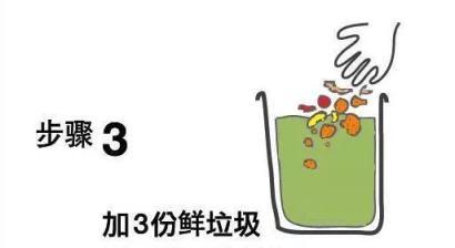 廚房裡的「小東西」，春天挖1勺澆盆裡，啥花都瘋長