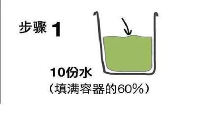 廚房裡的「小東西」，春天挖1勺澆盆裡，啥花都瘋長