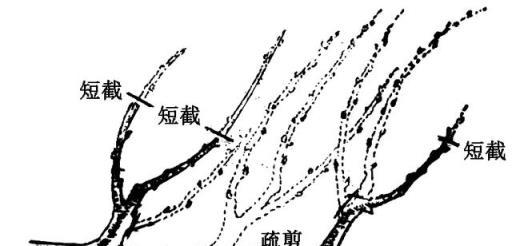 四月花卉養護指南，讓鮮花持續盛開的要點