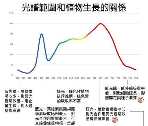  植物必須要通過太陽光合作用嗎？月亮的光可不可以？