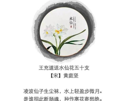 小荷才露尖尖角，早有蜻蜓立上頭——九首詠花詩詞，最美芳菲意！