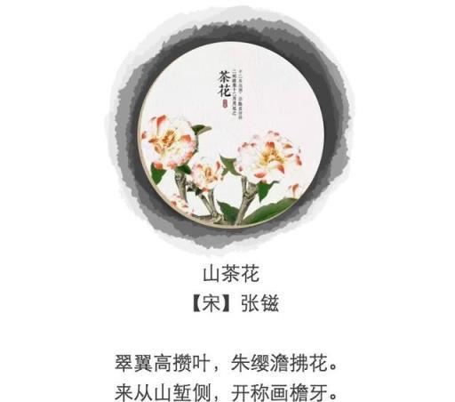 小荷才露尖尖角，早有蜻蜓立上頭——九首詠花詩詞，最美芳菲意！