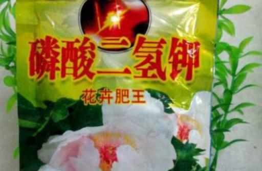 淘米水和黃豆肥別用了，此肥料人稱「花卉肥王」，啥花都通用