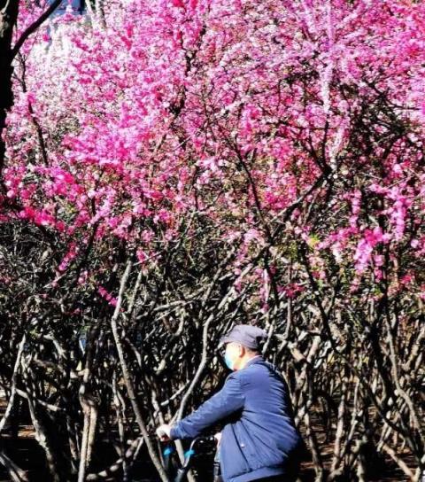 五月的鮮花，開遍龍江大地