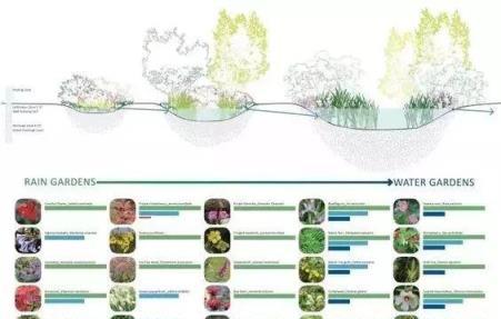 做庭院方案都要用到的植物配置大全（附國外設計解析）