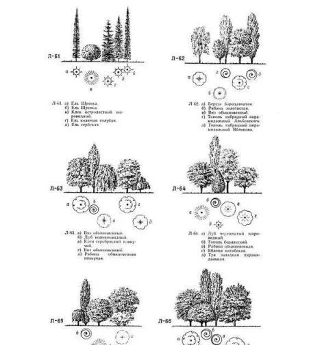 做庭院方案都要用到的植物配置大全（附國外設計解析）