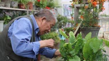 養花大爺透露：這4種「廢料」養花，比化肥好用10倍，能省不少錢