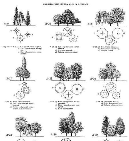 做庭院方案都要用到的植物配置大全（附國外設計解析）