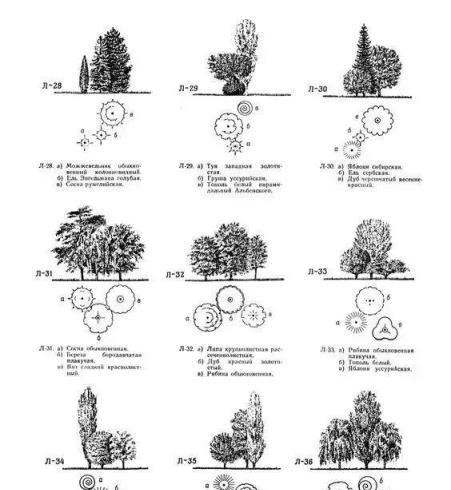 做庭院方案都要用到的植物配置大全（附國外設計解析）