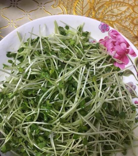 油桶鑽點孔，埋點蒜，10天變「蒜桶」，一家老小都吃不完