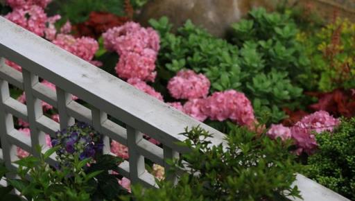 樓頂養花好？3點不注意，空中花園變「空中危樓」