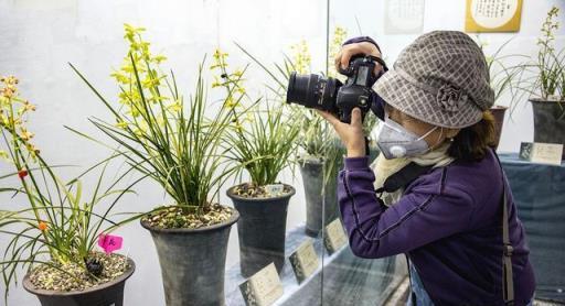 4種花「聰明人」都喜歡養，看著不起眼，其實能「增值」