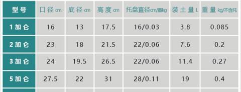 月季小苗快速養壯4步走，全乾貨攻略請收好，值得收藏