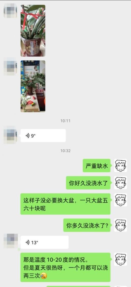 金錢樹不會澆水的，趕緊看過來哦