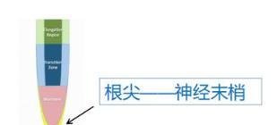 全面瞭解，有機肥料的型別、作用及施用技巧