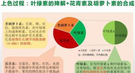 全面瞭解，有機肥料的型別、作用及施用技巧