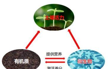 全面瞭解，有機肥料的型別、作用及施用技巧