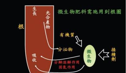 全面瞭解，有機肥料的型別、作用及施用技巧