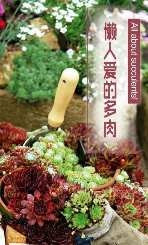 多肉植物養護手冊，貼心指南