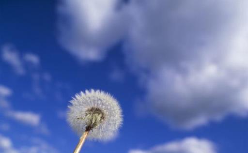 俗語「冬至陰天，來年春旱」，今年冬至晴天，來年春雨會多嗎？