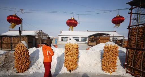 農村諺語「一九有雪，九九不缺」啥意思？有道理嗎？