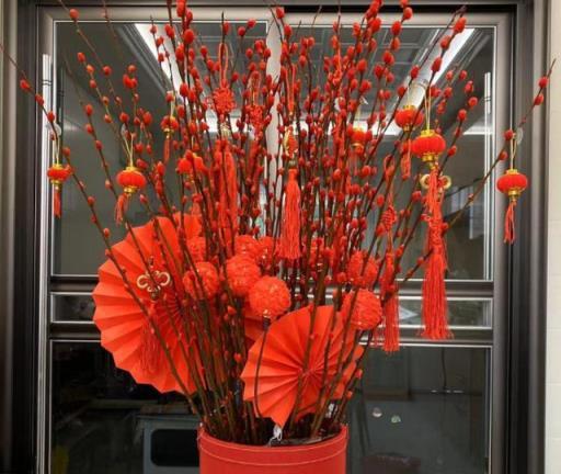 7種「紅色系」年宵花，養在家中添喜氣，紅紅火火過大年