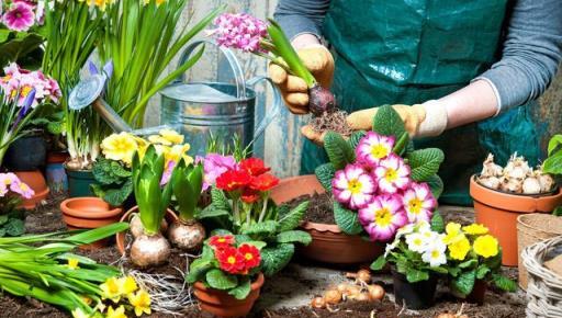 花草「換新家」的時間來臨，4種物料早準備，換出滿滿的成就感