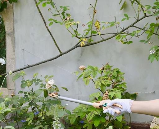 備齊10種小物件，既能輕鬆養花，還能讓院子舒適有「格調」，超讚